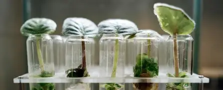 Industria Biotecnología y Ciencias de la vida